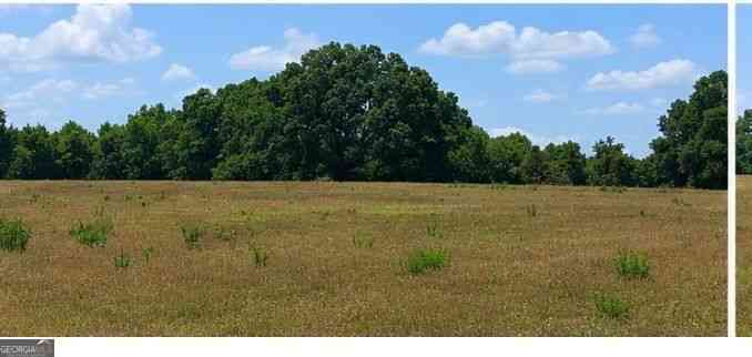 Vacant Land For Sale - LOT 32 Livingston Road<br/> Rome, GA 30161