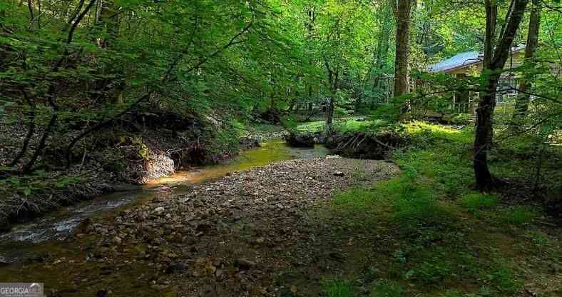 Vacant Land For Sale - Nocona Trail<br/> Gilmer County, Ellijay, GA 30536