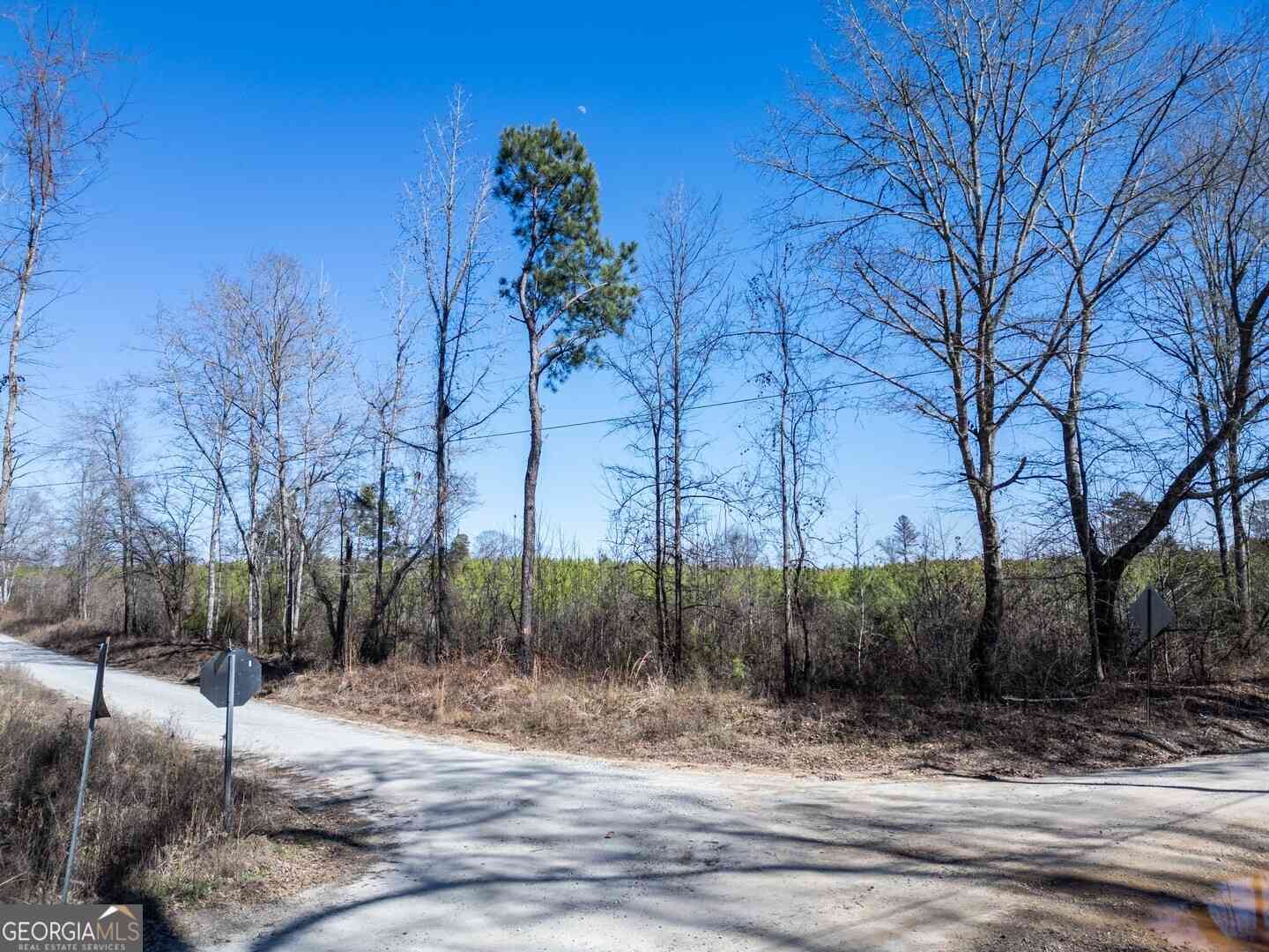 Vacant Land For Sale - Millen Road #18<br/> Monticello, GA 31064