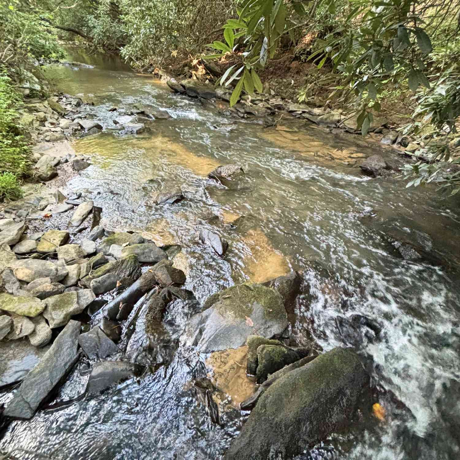Vacant Land For Sale - 1720 Mt Springer Road<br/> Gilmer County, Ellijay, GA 30540