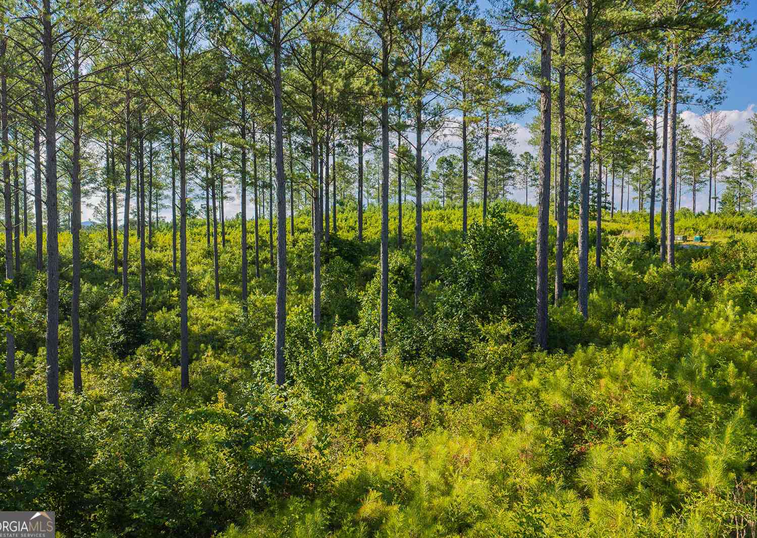 Vacant Land For Sale - LOT 68 High River Road<br/> Gilmer County, Ellijay, GA 30540