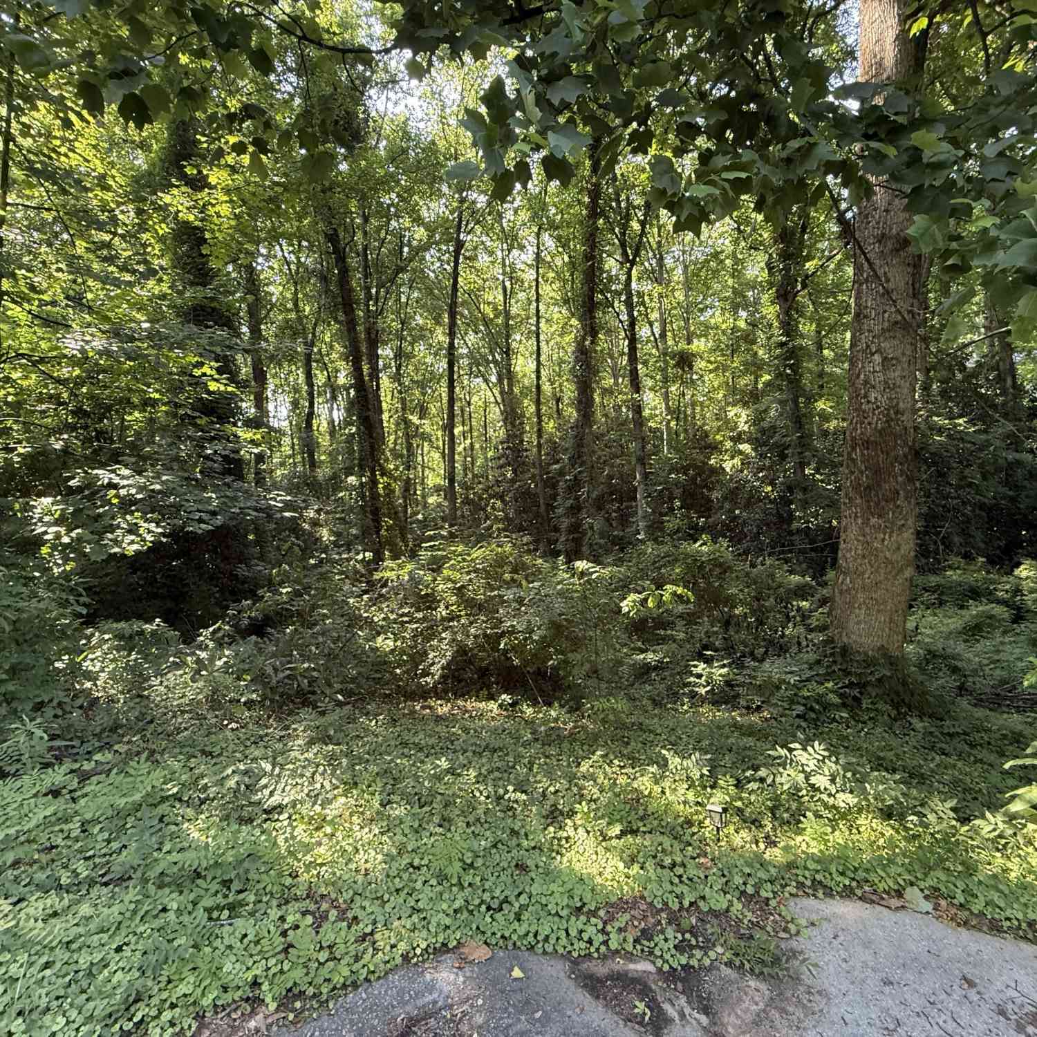 Vacant Land For Sale - 1541 Withmoor Terrace<br/> Cobb County, Austell, GA 30168