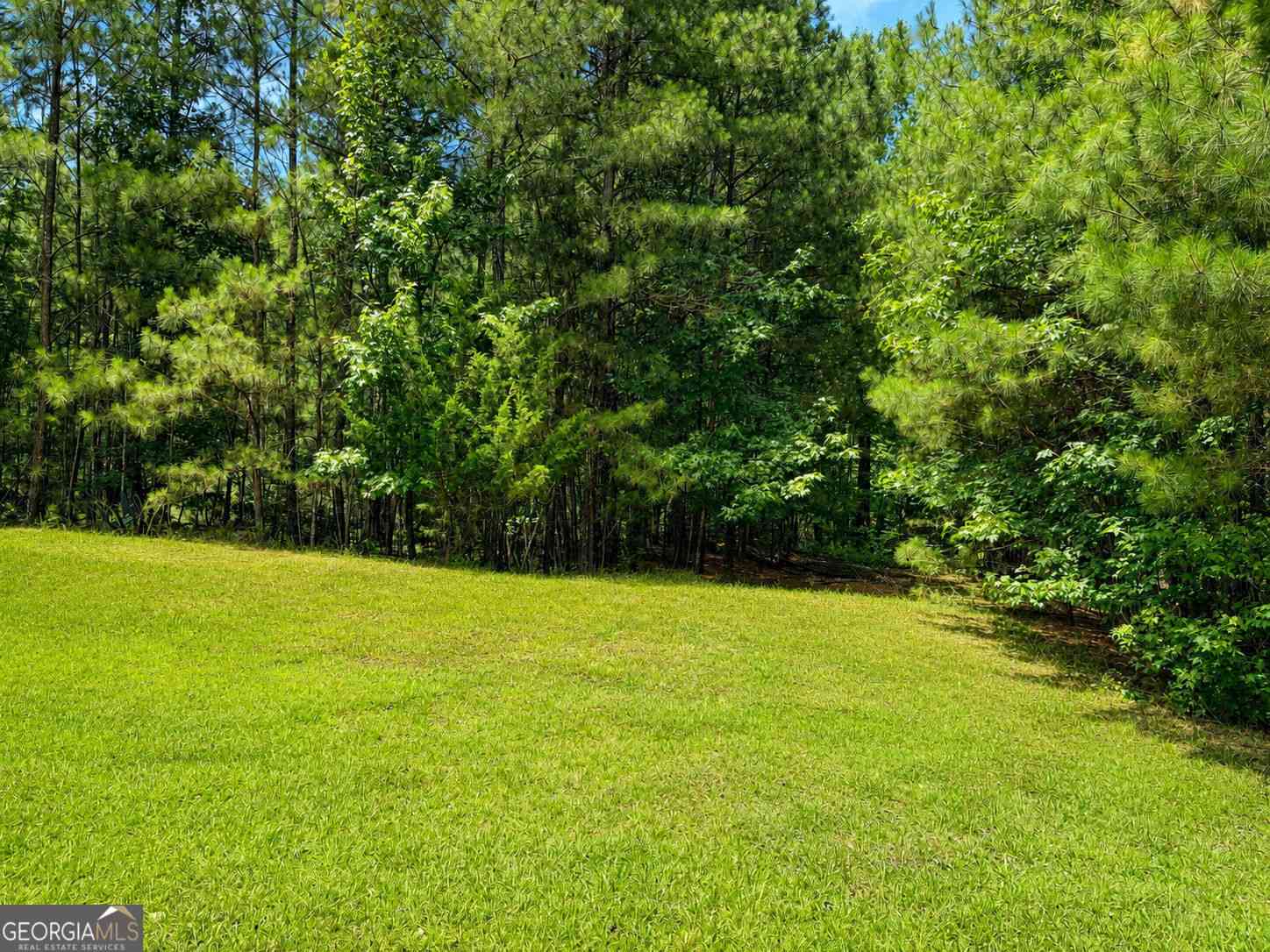 Vacant Land For Sale - 30 Cornish Trace Drive<br/> Newton County, Covington, GA 30014