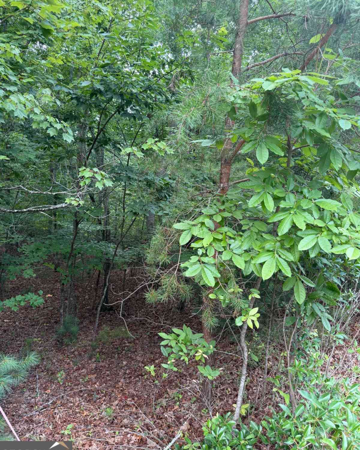 Vacant Land For Sale - 13 Pinnacle Court<br/> Blairsville, GA 30512