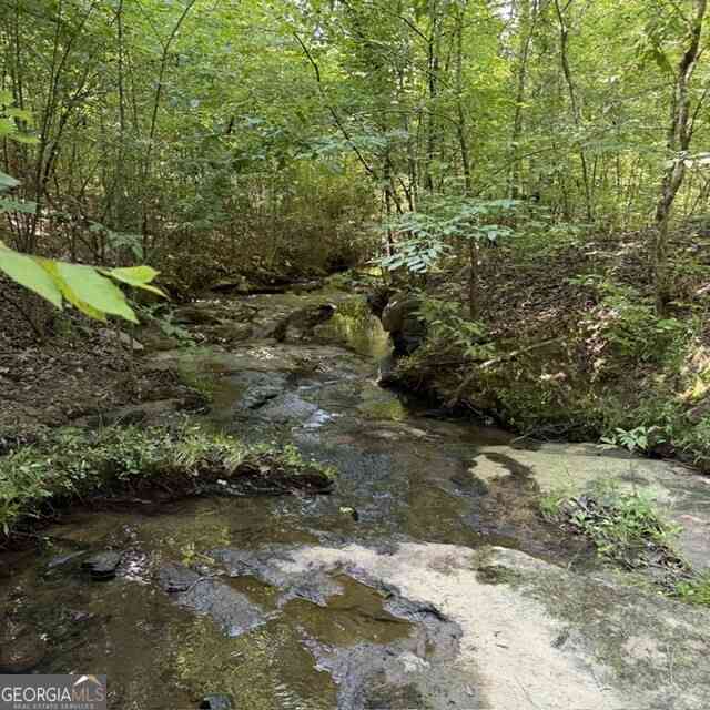Vacant Land For Sale - 80.61 ACRES Howard Neal Road<br/> Junction City, GA 31812