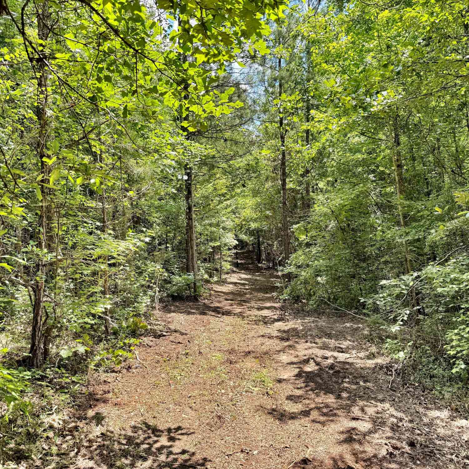Vacant Land For Sale - 1 Us Highway 80 W<br/> Roberta, GA 31078