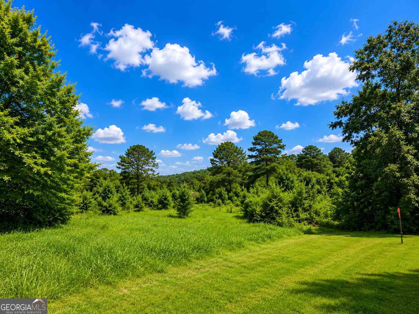 Vacant Land For Sale - 4590 Twin Lakes Drive<br/> Walton County, Monroe, GA 30656
