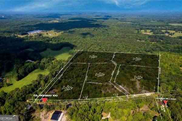 Vacant Land For Sale - TRACT2 Georgia Highway 100<br/> Buchanan, GA 30113
