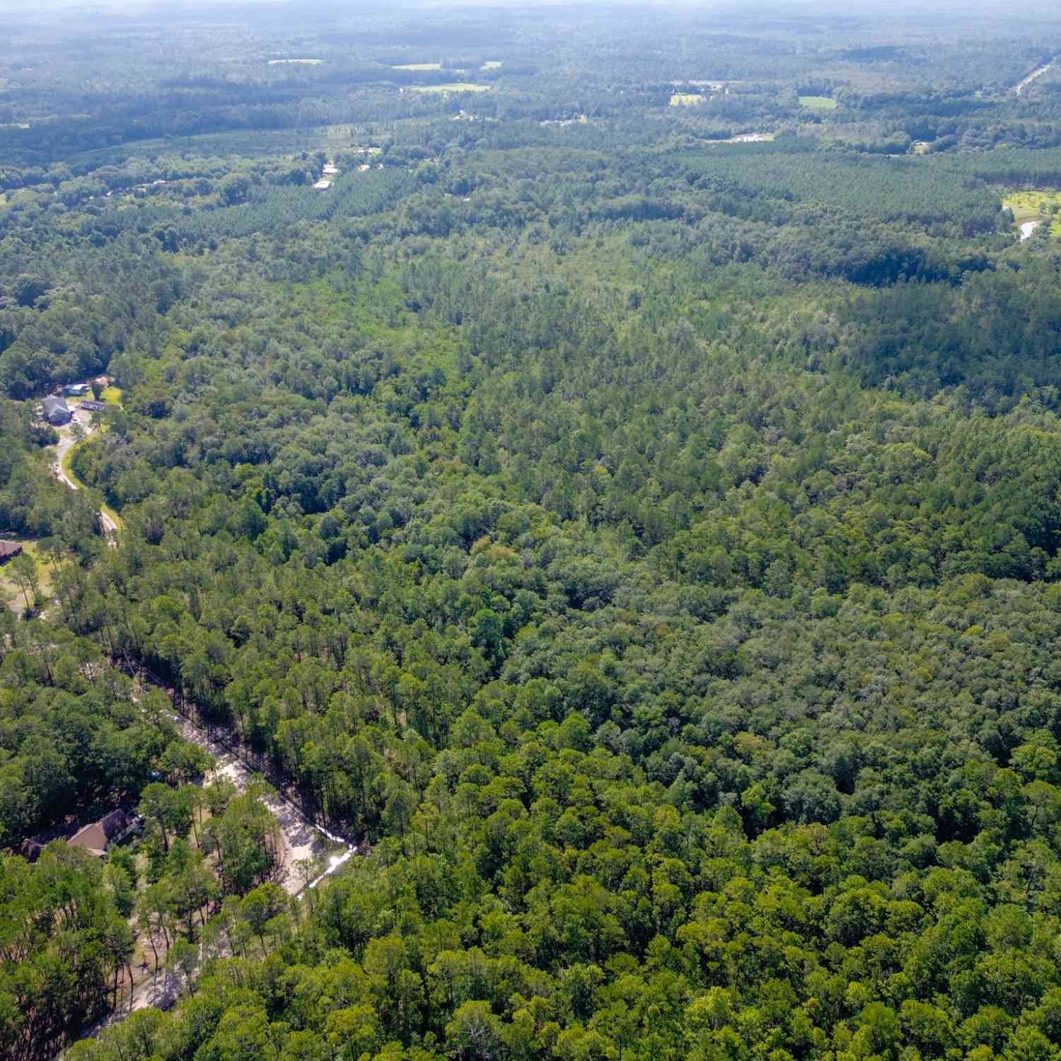 Vacant Land For Sale - Davis Court<br/> Liberty County, Hinesville, GA 31313