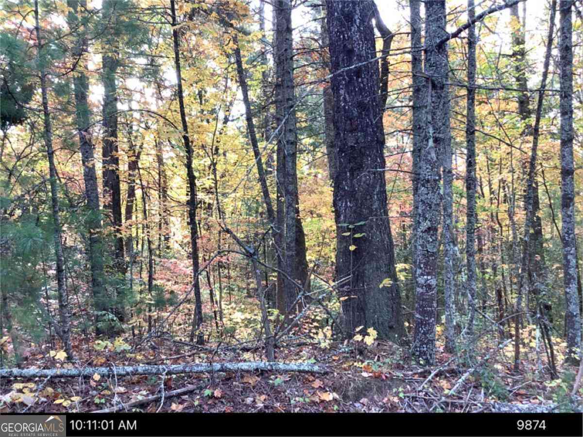 Vacant Land For Sale - - Andros Court<br/> Gilmer County, Ellijay, GA 30540