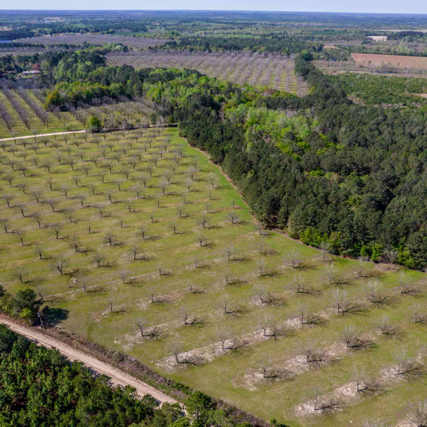 Vacant Land For Sale - Kermit Road<br/> Cobbtown, GA 30420