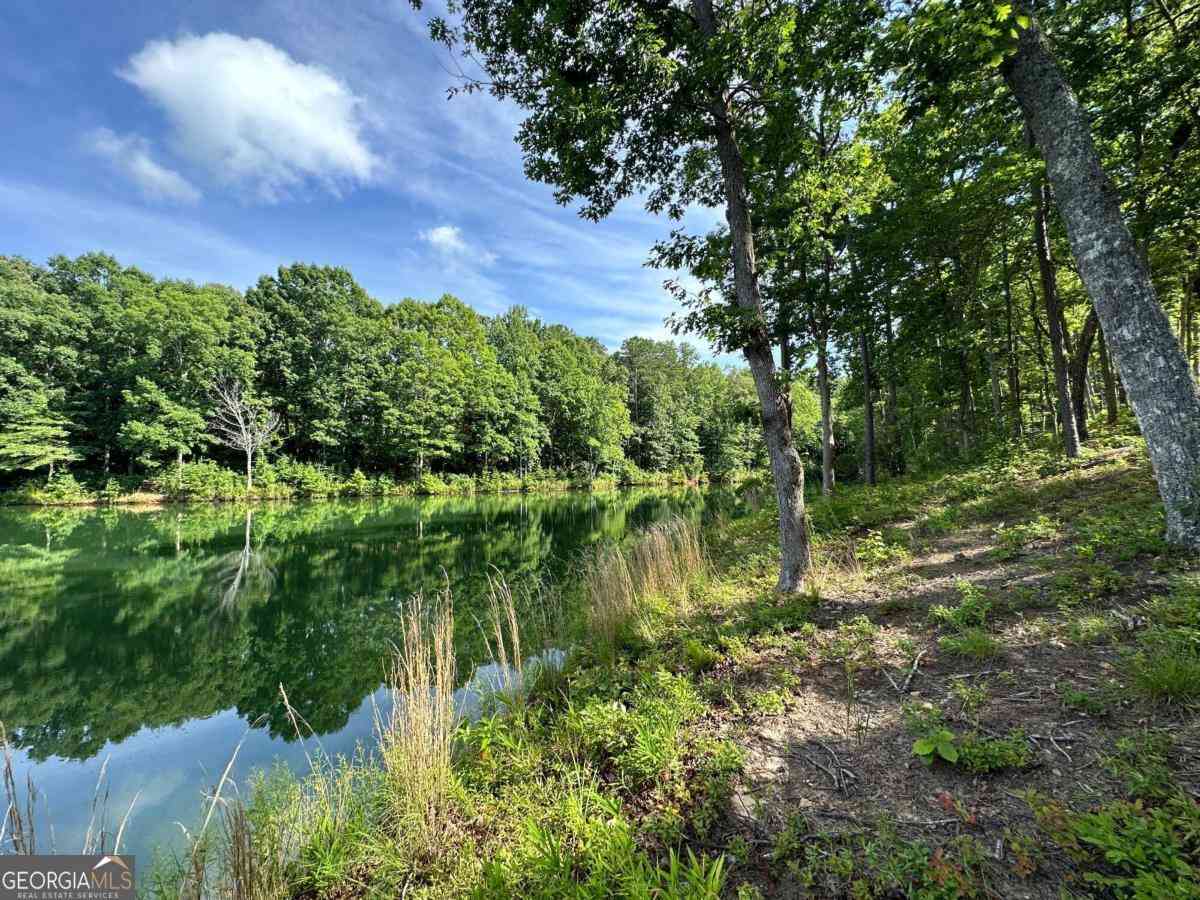 Vacant Land For Sale - 1117 Rome Beauty<br/> Habersham County, Clarkesville, GA 30523