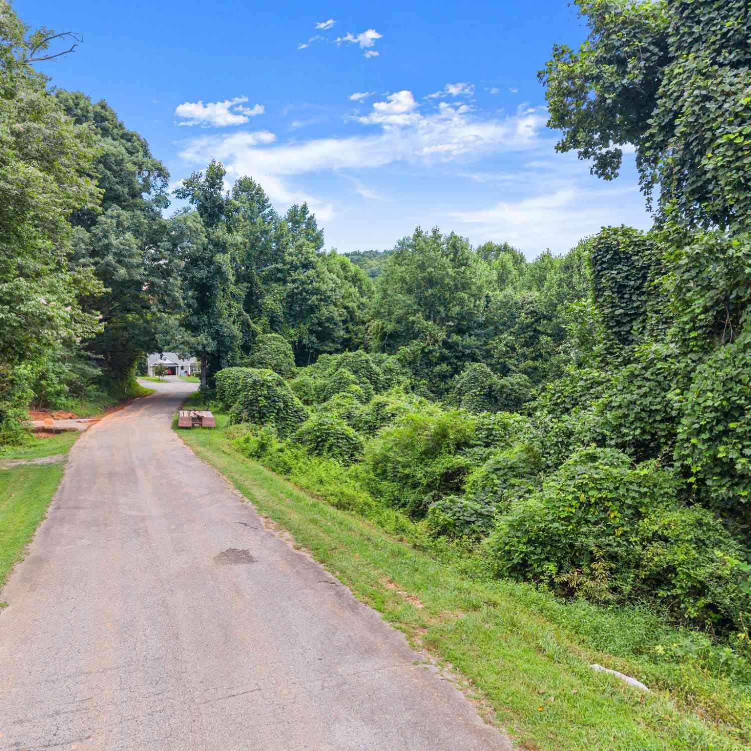 Vacant Land For Sale - Meadow Crest Drive<br/> White County, Cleveland, GA 30523