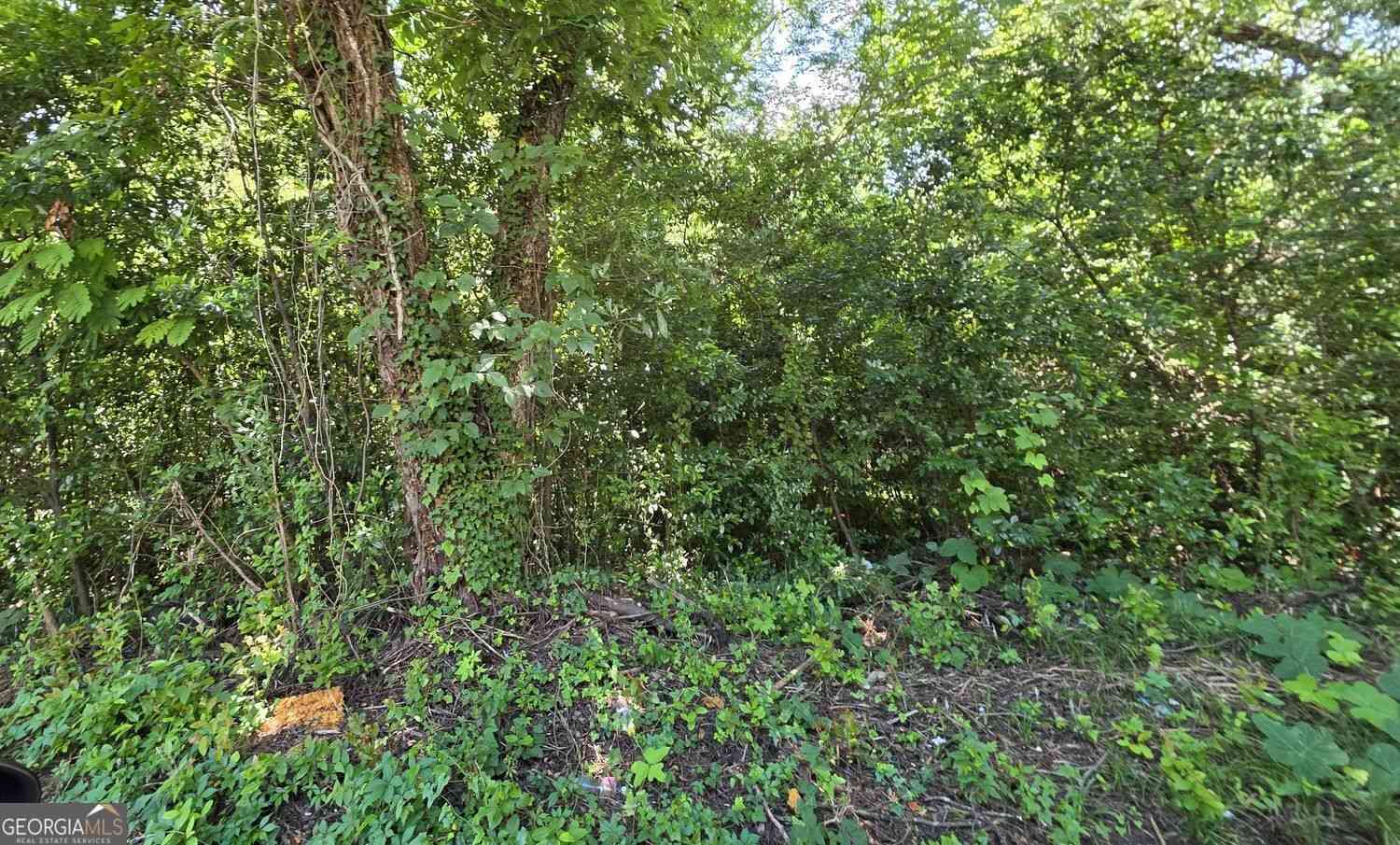 Vacant Land For Sale - Moore Street<br/> Bibb County, Macon, GA 31204