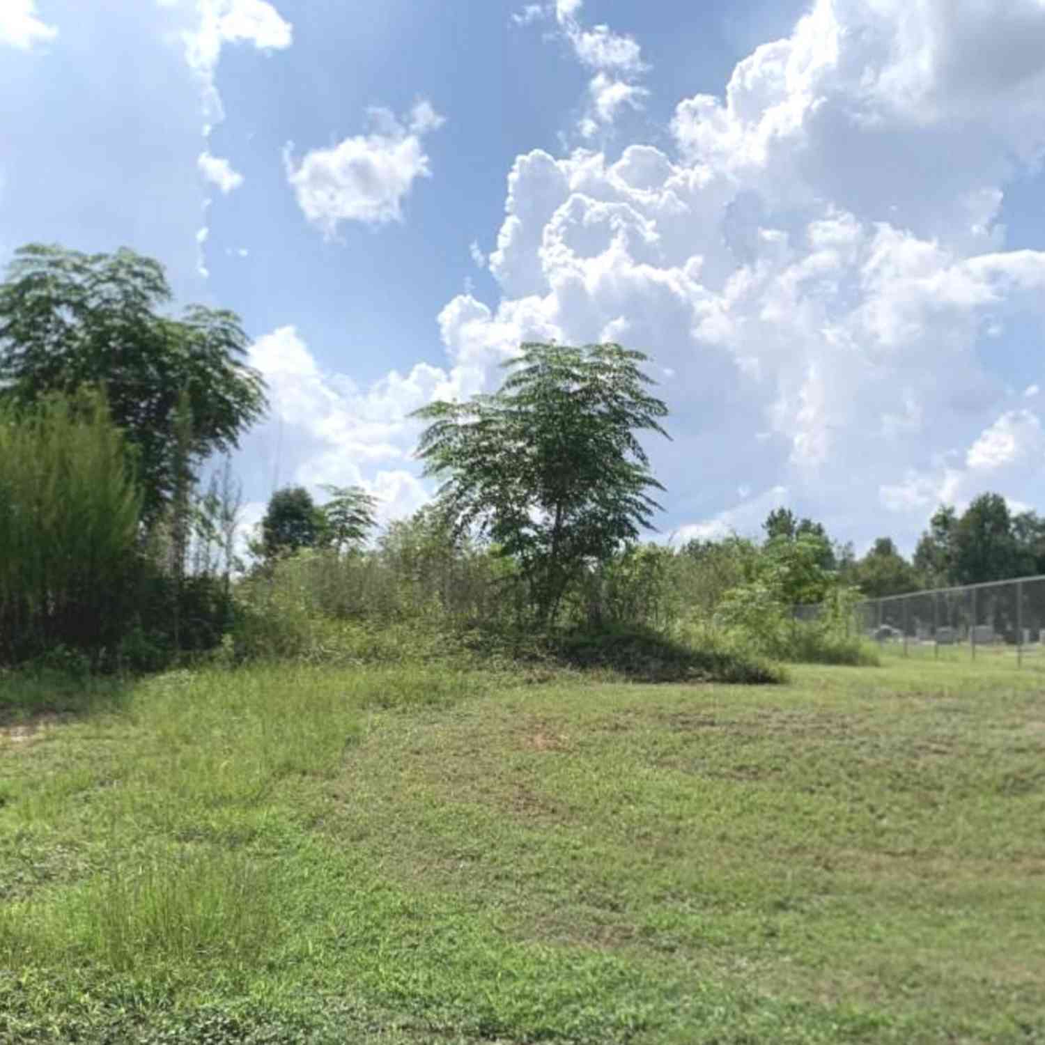 Vacant Land For Sale - Murphy Street<br/> Midville, GA 30441