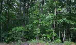 Vacant Land For Sale - Old Mckaskey Creek Road SE<br/> Cartersville, GA 30121