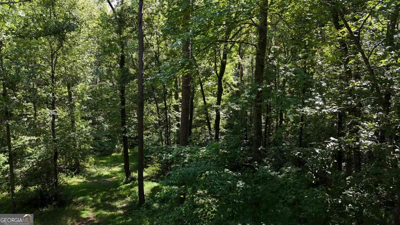 Vacant Land For Sale - 115-LOT 101/ PA Shoal Creek Dr<br/> Sharpsburg, GA 30277