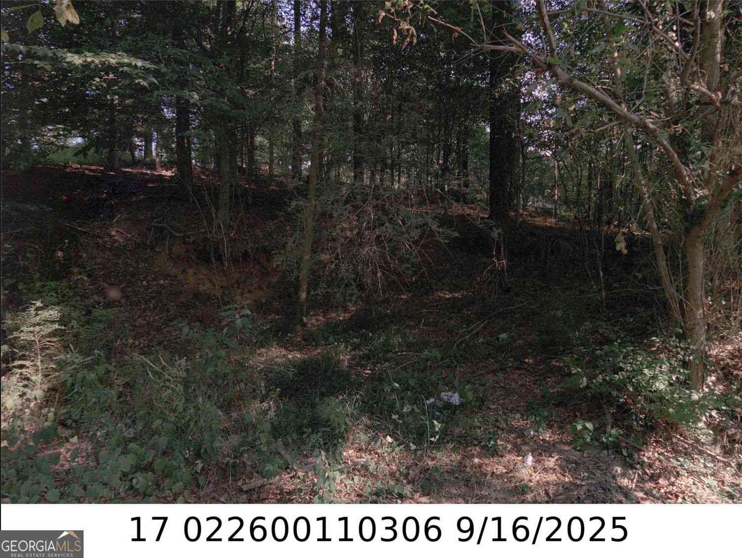 Vacant Land For Sale - Newman Pl<br/> Atlanta, GA 30318