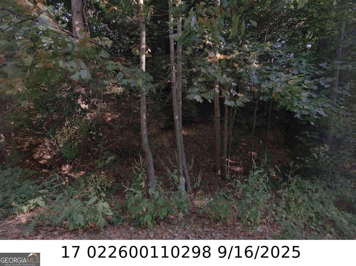Vacant Land For Sale - Newman Pl<br/> Atlanta, GA 30318