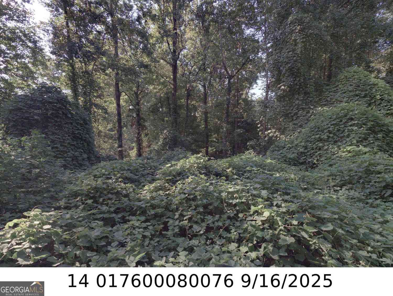 Vacant Land For Sale - Newman Place NW<br/> Atlanta, GA 30318