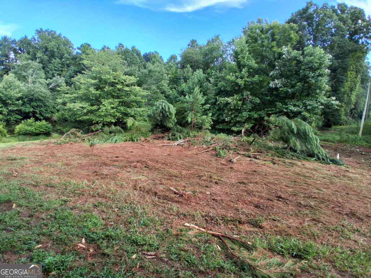 Vacant Land For Sale - Blackberry Mountain Road<br/> Gilmer County, Ellijay, GA 30536