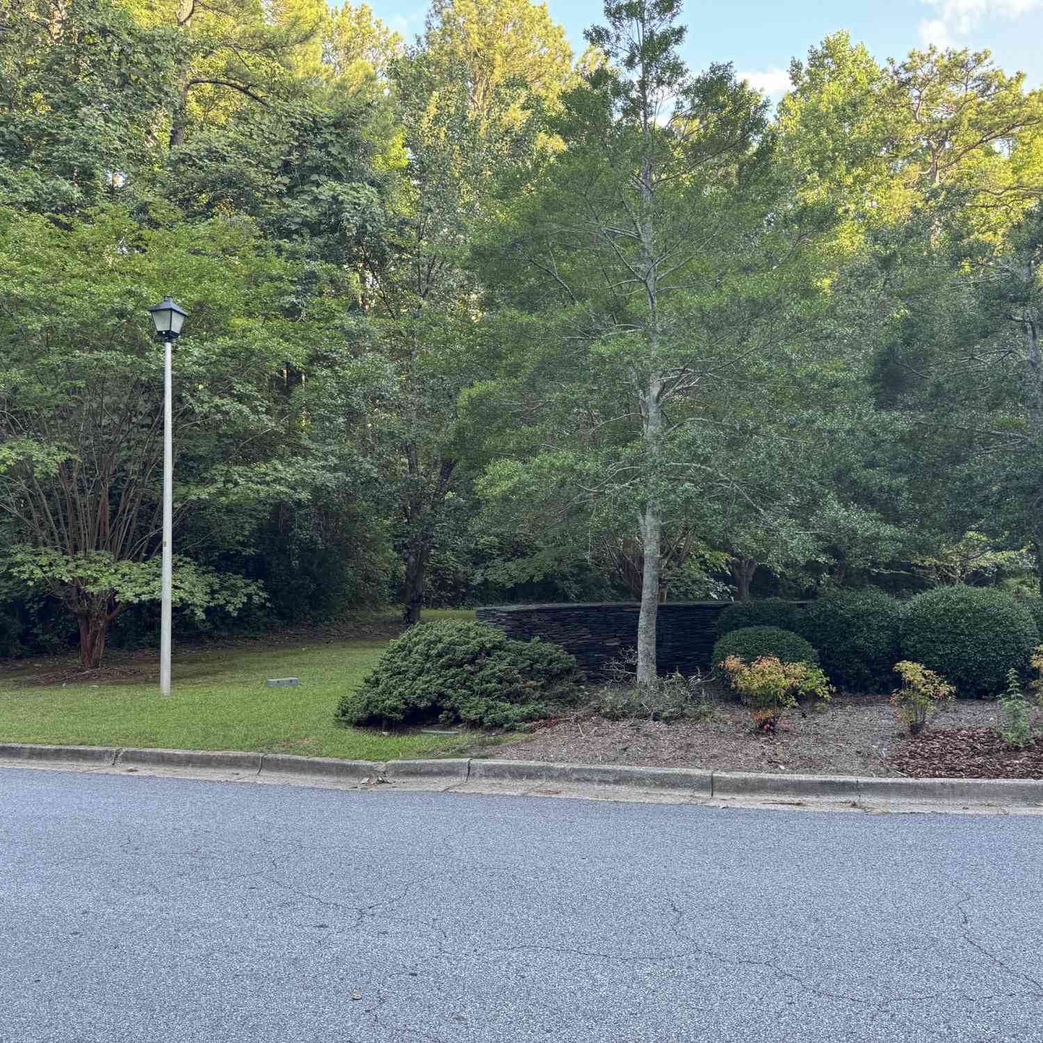 Vacant Land For Sale - Lake Hampton Drive<br/> Hampton, GA 30228