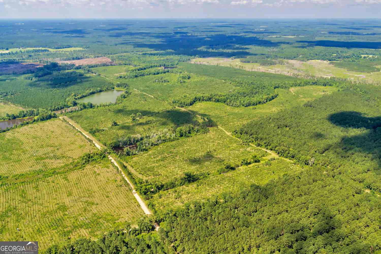 Vacant Land For Sale - CLIFFORD Bishop Chapel Church Road<br/> Swainsboro, GA 30401
