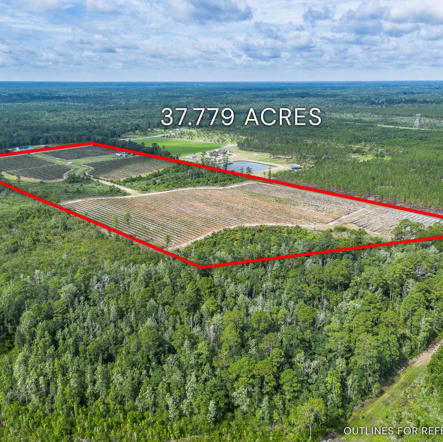 Vacant Land For Sale - 7848 Trudie Road<br/> Pierce County, Patterson, GA 31557