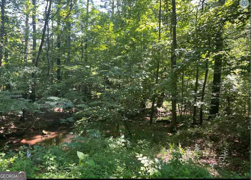 Vacant Land For Sale - 239 Legend Hollow Road NW<br/> Rome, GA 30165