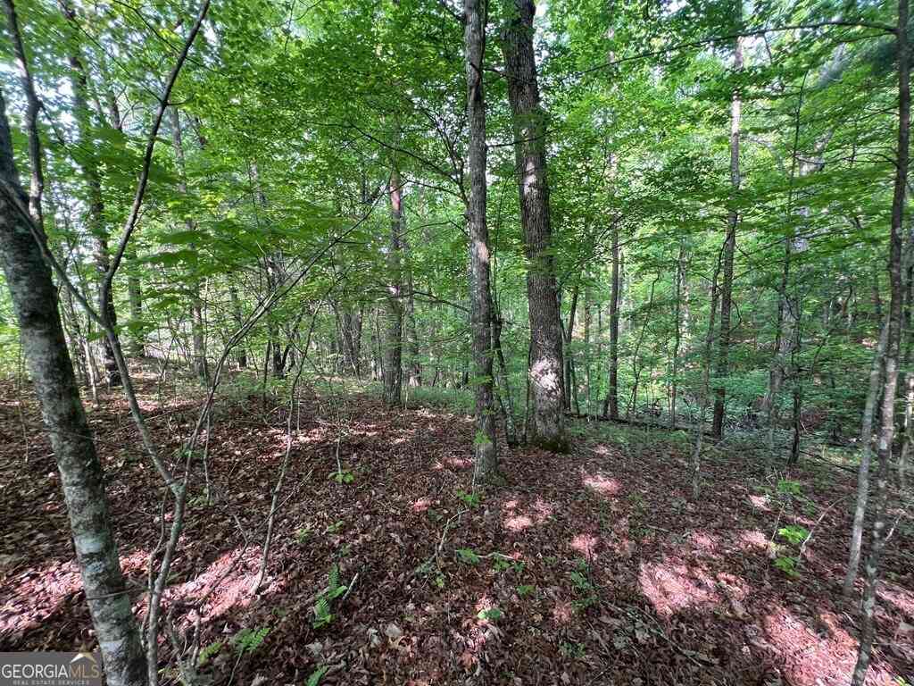 Vacant Land For Sale - 9 + ACRE Leonard Lane<br/> Murphy, NC 28906