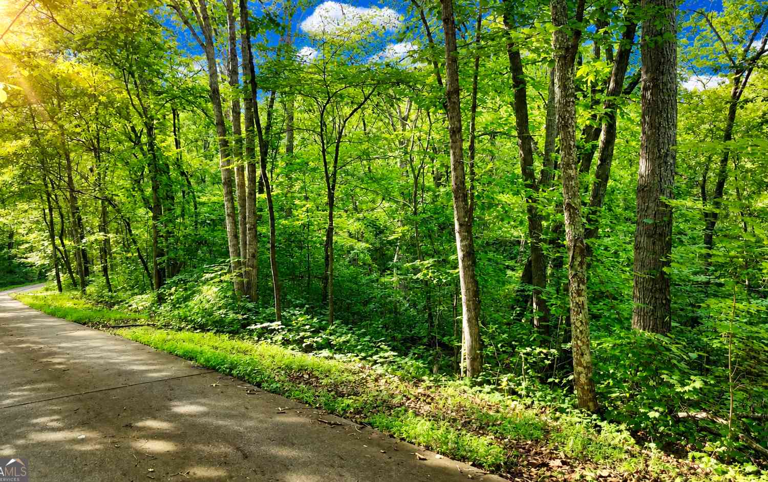 Vacant Land For Sale - Highway 2<br/> Cohutta, GA 30710