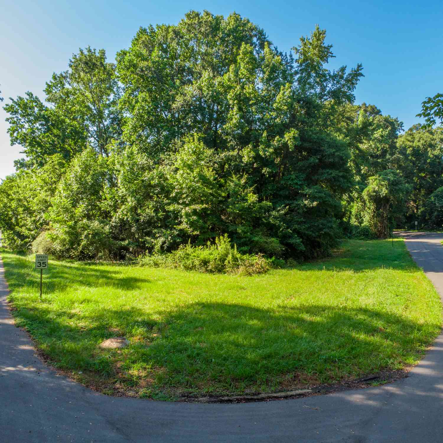 Vacant Land For Sale - Arnco (lot 255a)<br/> Newnan, GA 30263