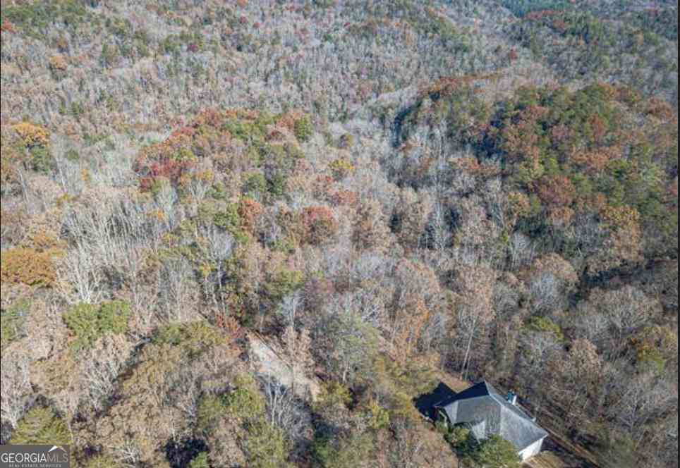 Vacant Land For Sale - LOT 6 Arborwood Drive<br/> Lumpkin County, Dahlonega, GA 30533