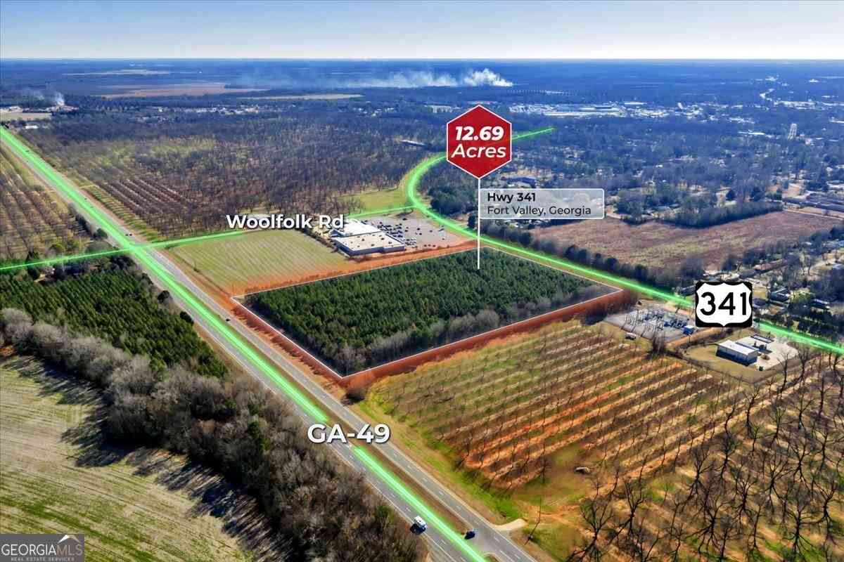Vacant Land For Sale - 341/49 Highway<br/> Fort Valley, GA 31030