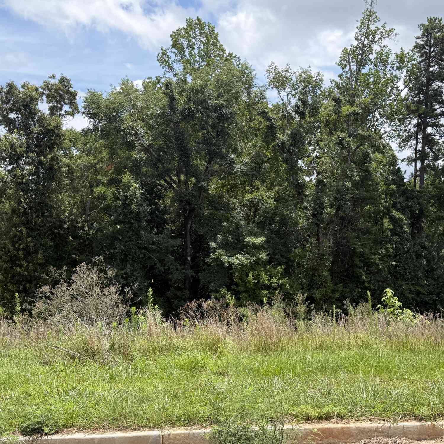 Vacant Land For Sale - 3245 Shoreland Drive<br/> Buford, GA 30518
