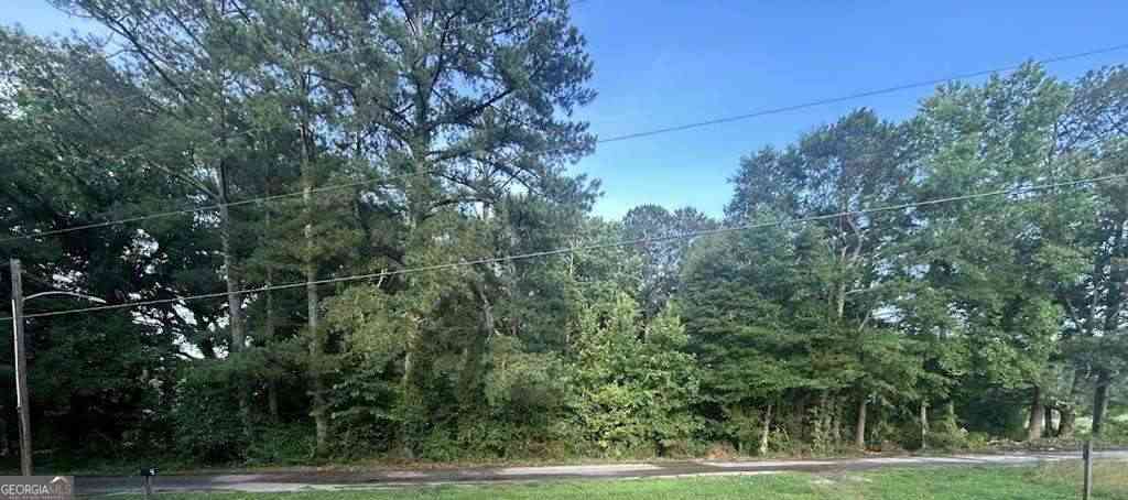 Vacant Land For Sale - Williams Street<br/> Randolph County, Woodland, AL 36280