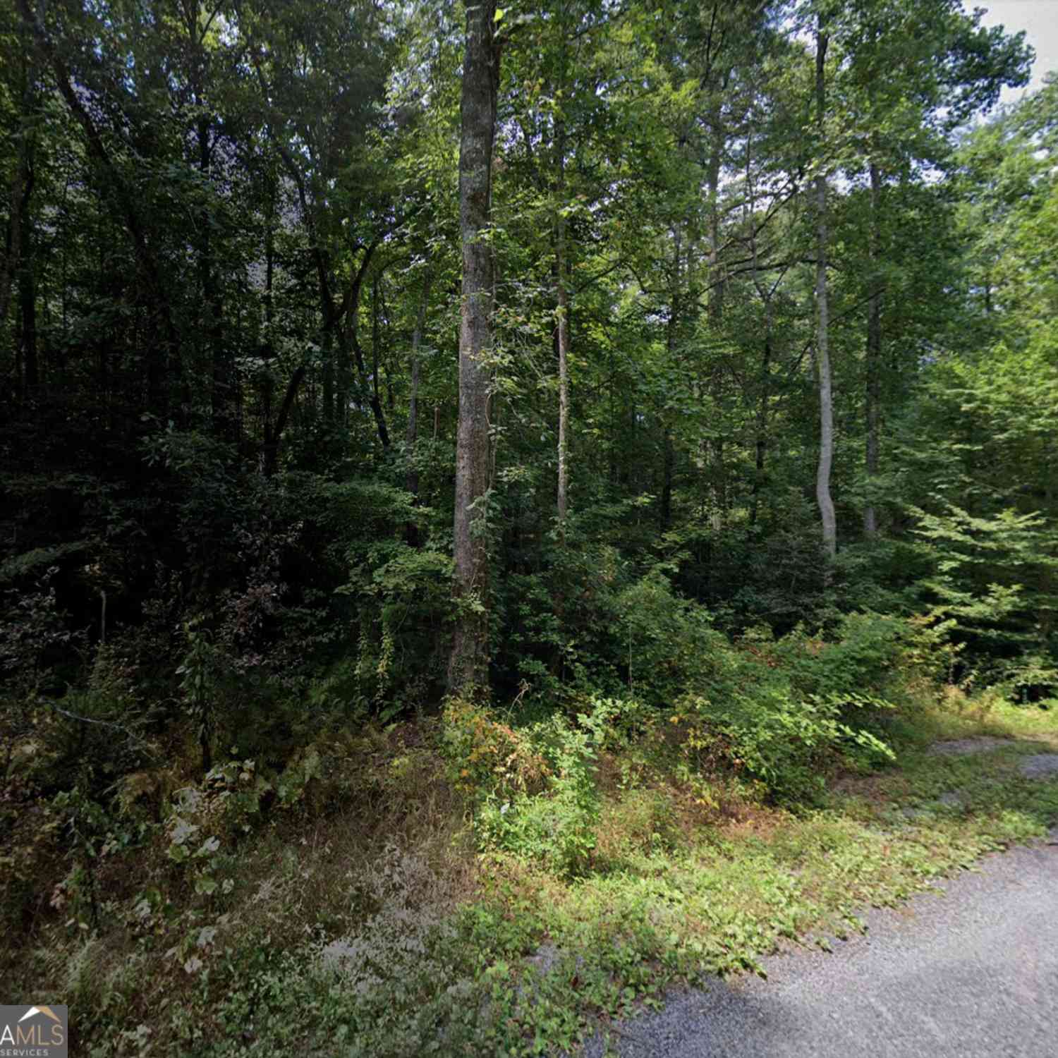 Vacant Land For Sale - 640 Westwind Drive<br/> Gilmer County, Ellijay, GA 30540