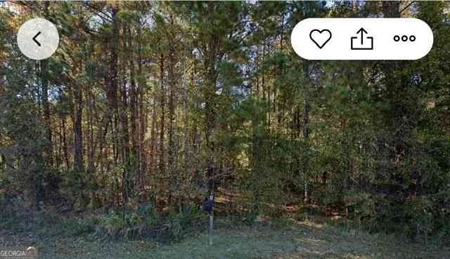 Vacant Land For Sale - 3075 Hamlin Road<br/> Lizella, GA 31052