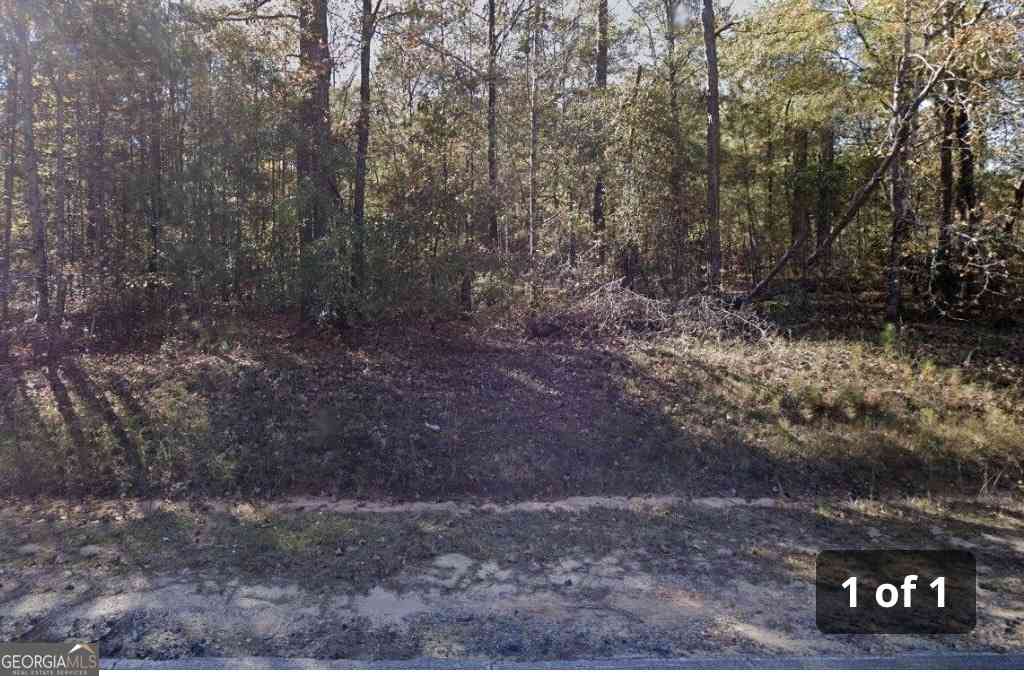 Vacant Land For Sale - 3063 Hamlin Road<br/> Lizella, GA 31052
