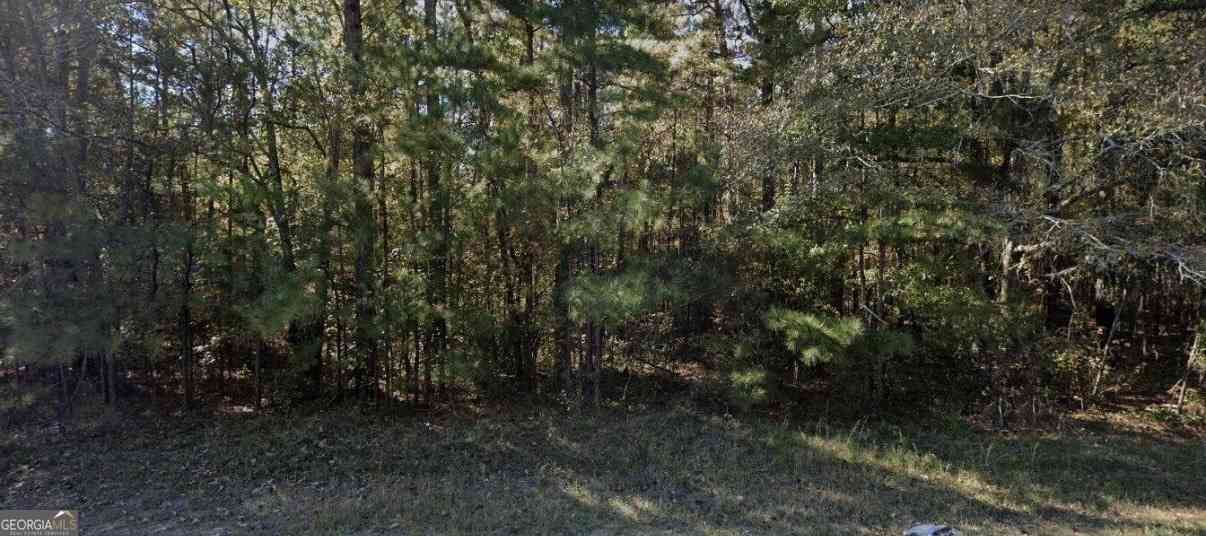 Vacant Land For Sale - 3069 Hamlin Road<br/> Lizella, GA 31052
