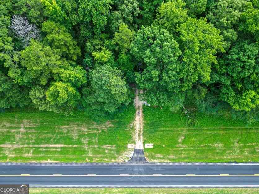Vacant Land For Sale - Highway 431<br/> Randolph County, Roanoke, AL 36274