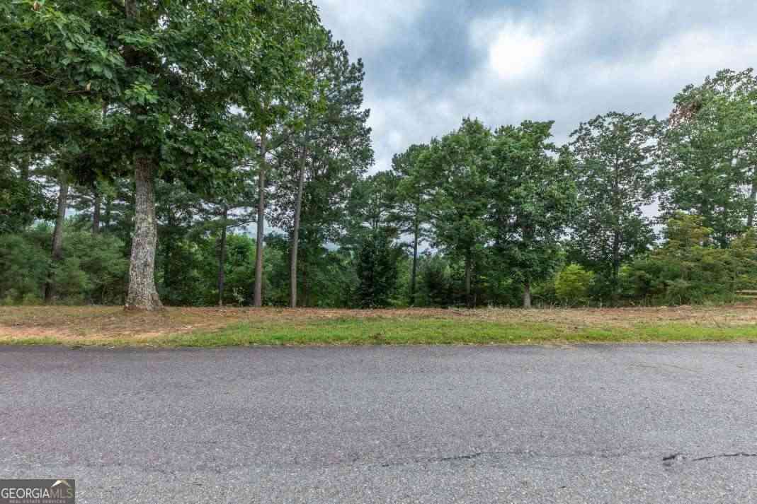 Vacant Land For Sale - LOT 13 Thirteen Hundred<br/> Blairsville, GA 30512