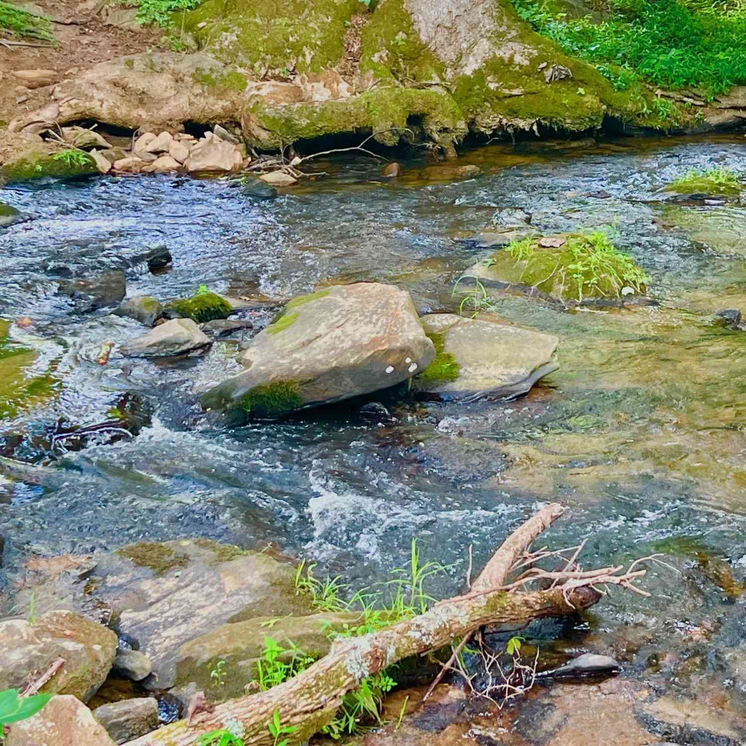 Vacant Land For Sale - 193 Opossum Road<br/> Blairsville, GA 30512
