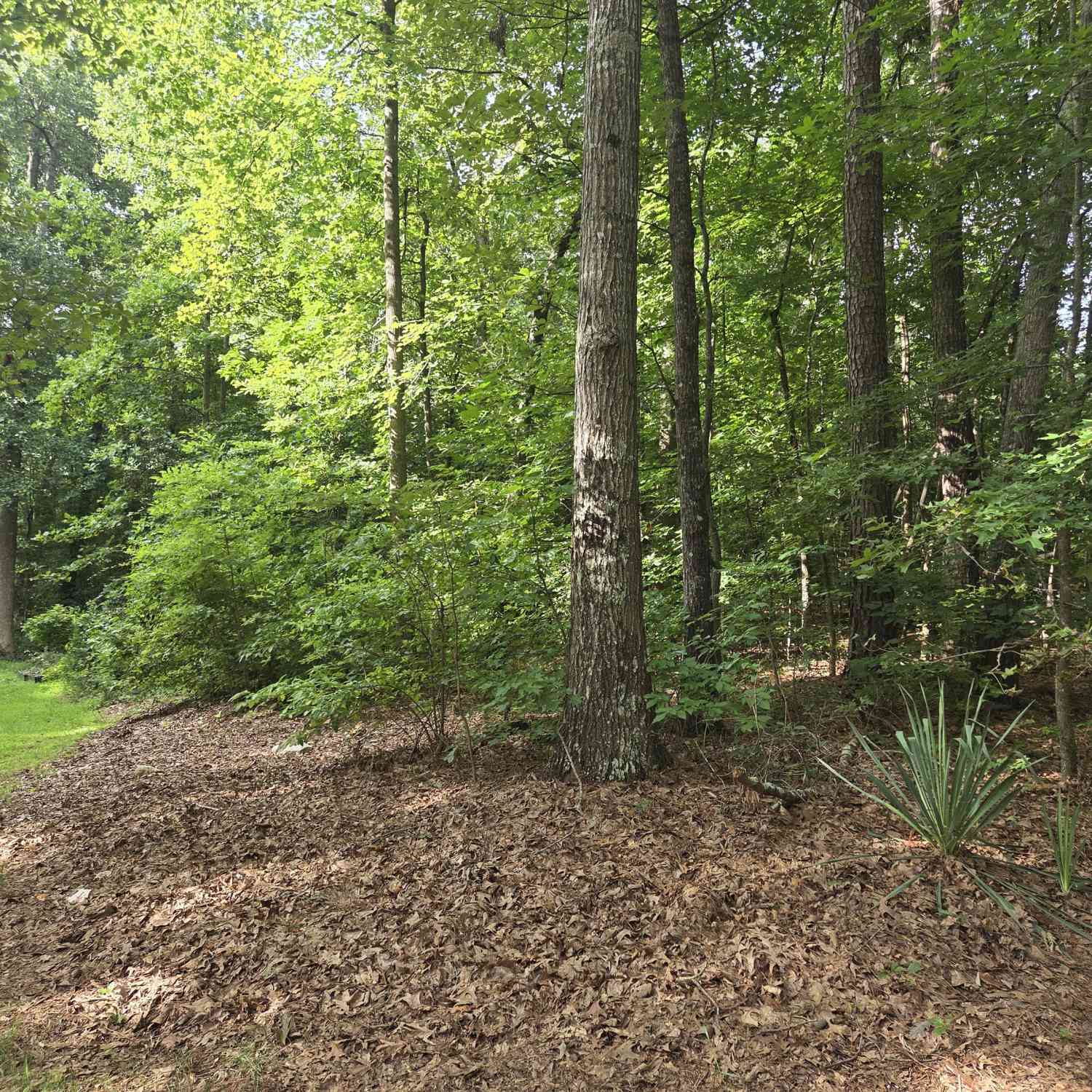 Vacant Land For Sale - Harriette Drive<br/> Stockbridge, GA 30281