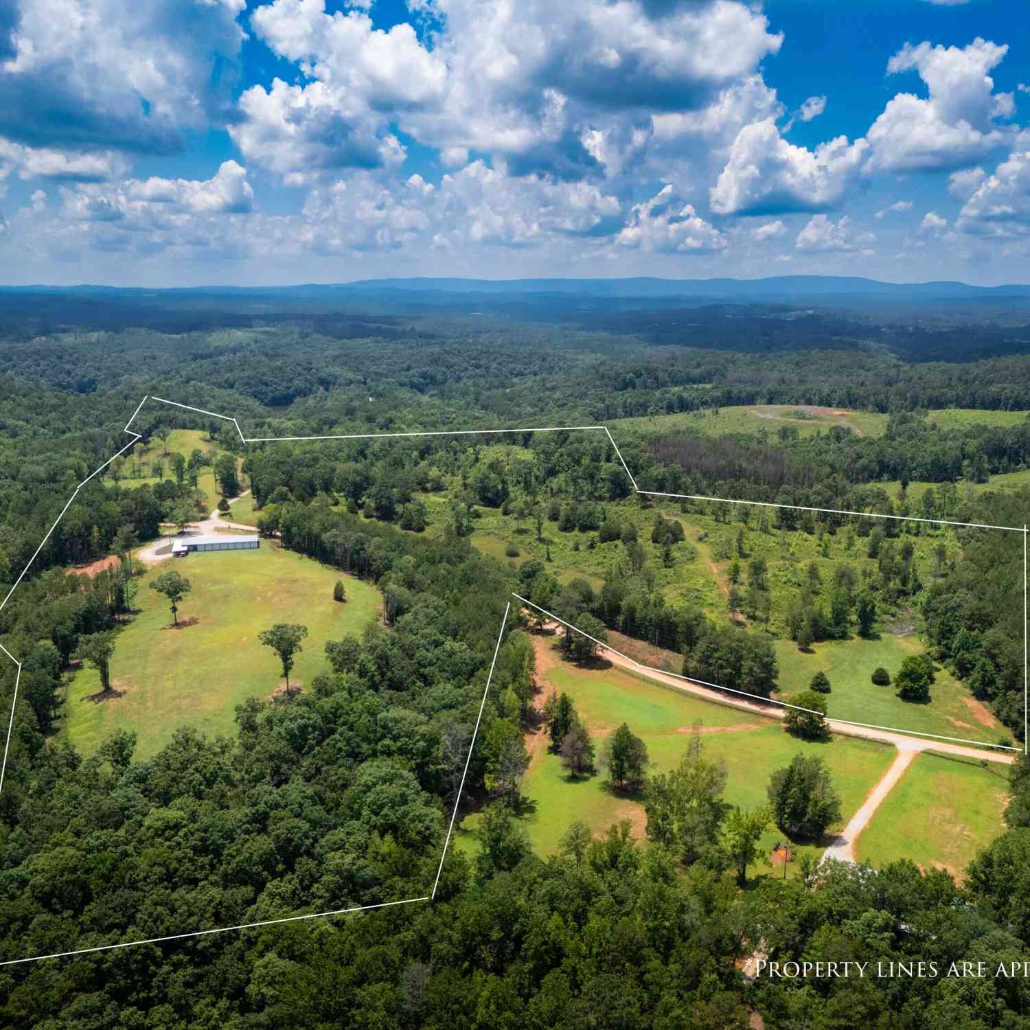 Vacant Land For Sale - 1310 County Road 269<br/> Wedowee, AL 36278