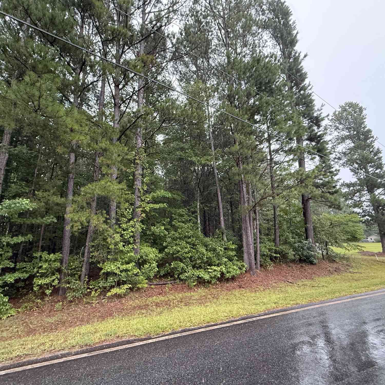 Vacant Land For Sale - Lee Thompson Road<br/> Coweta County, Moreland, GA 30259