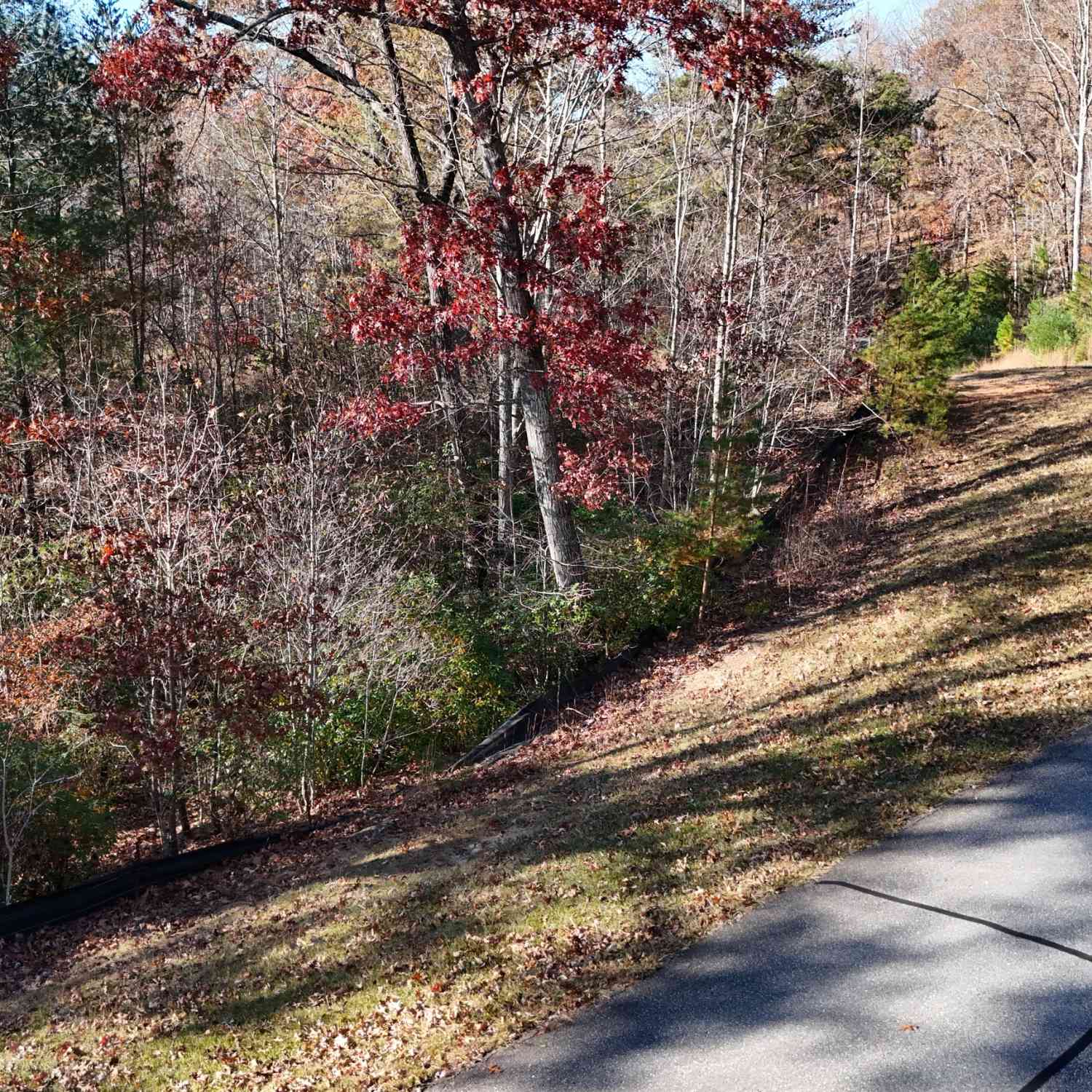Vacant Land For Sale - LOT 197 Springwinds Drive<br/> Cleveland, GA 30528