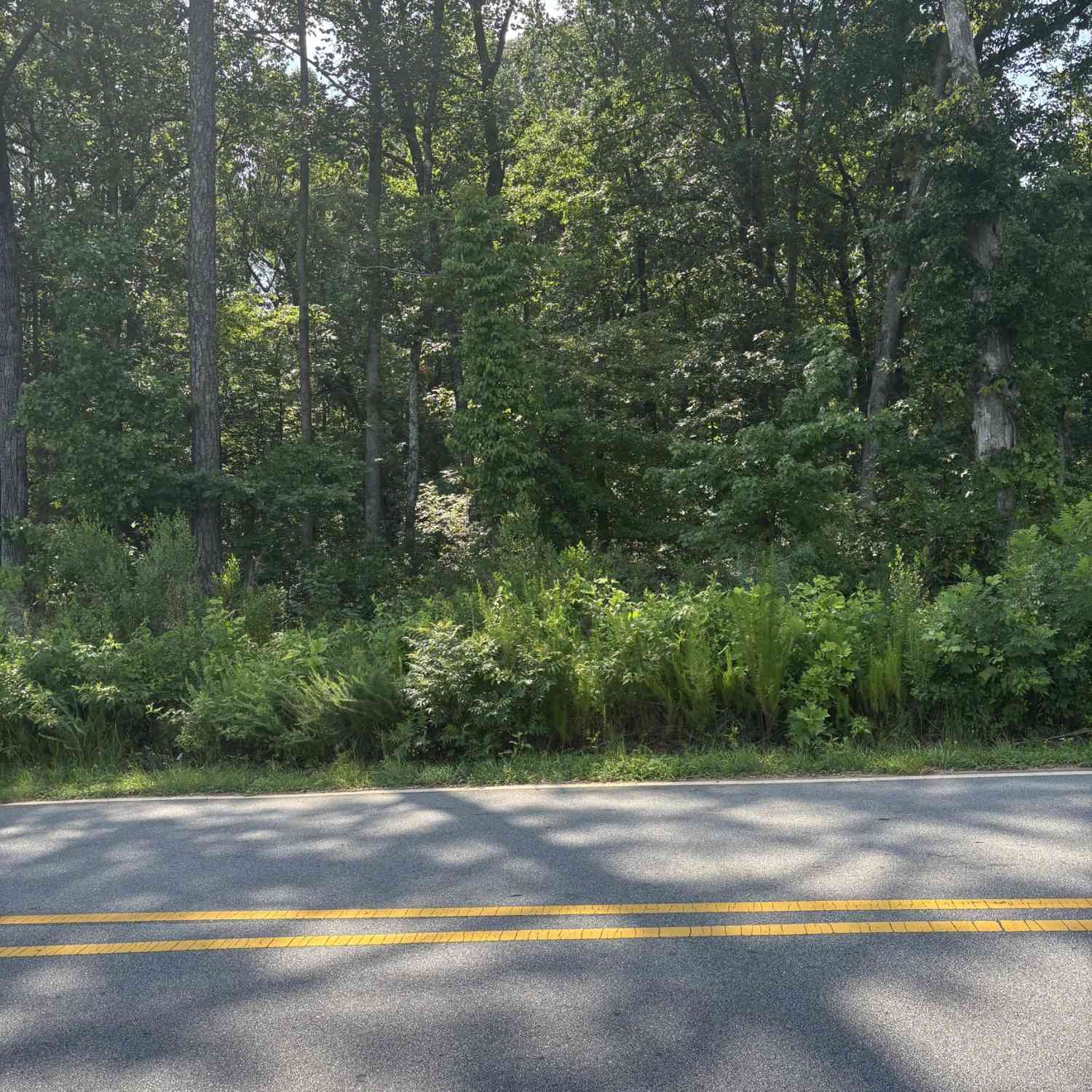 Vacant Land For Sale - 5156 Rock Springs Road<br/> Dekalb County, Lithonia, GA 30038