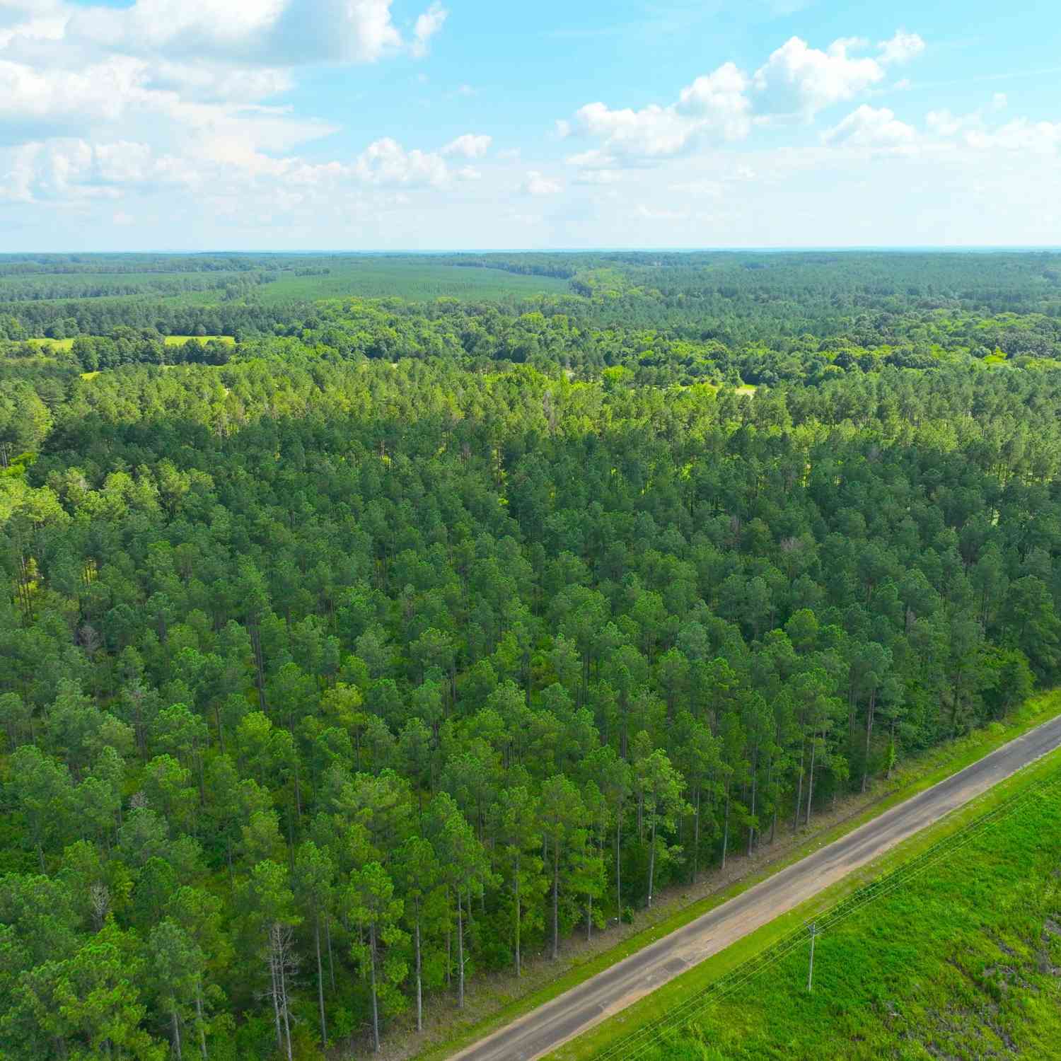Vacant Land For Sale - 1008 Seneca Street<br/> Calhoun Falls, SC 29628