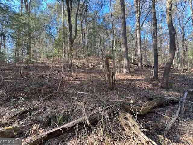 Vacant Land For Sale - 3 Old Miller Rock Road<br/> Ellijay, GA 30540